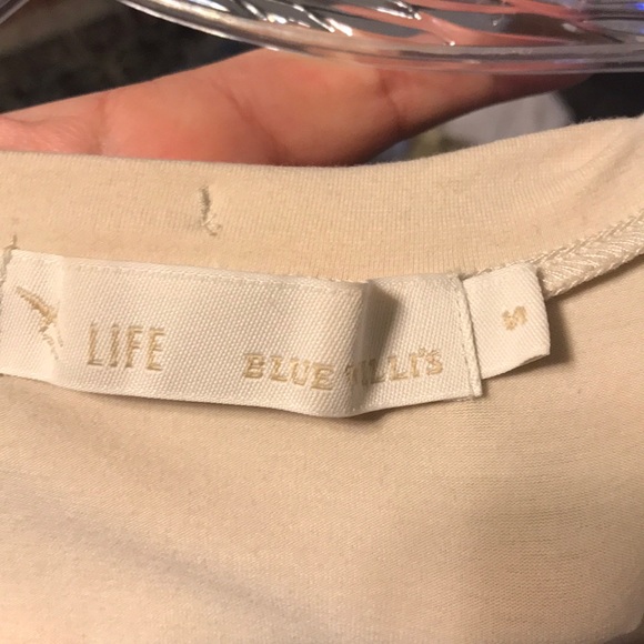 Blue Willi’s cream short sleeve tee - Picture 7 of 7